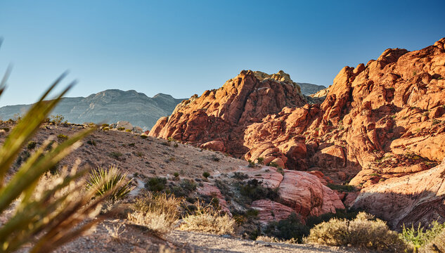 landscape photo of red rock canyon national park in nevada