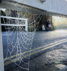 Frozen abandoned spiderweb hanging on the bridge in winter