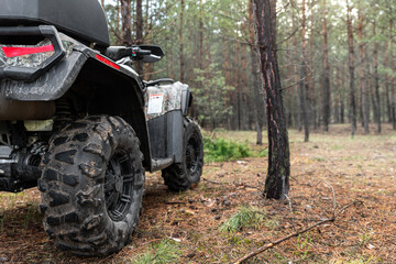ATV awd quadbike motorcycle back pov view near tree in coniferous pine foggy forest with beautiful nature landscape morning mist. Offroad travel adventure trip expedition. Extreme recreation activity