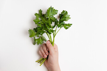 Fototapeta na wymiar .Sprigs of green parsley in a children's hand on a white salty background.