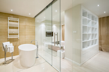 Fototapeta na wymiar Elegant bathroom with glass wall