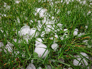 Hagel auf grüner Wiese