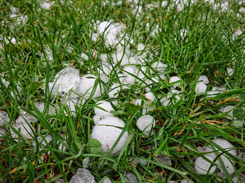 Hagel auf gr&uuml;ner Wiese