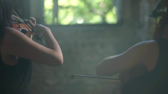 Woman Playing the Violin 3