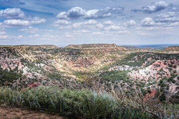 Obraz premium Scenic view over the Palo Duro Canyon, Texas