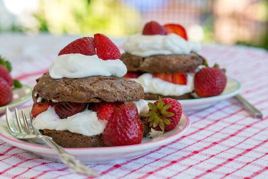 Chocolate strawberry shortcake with whipped cream on plates