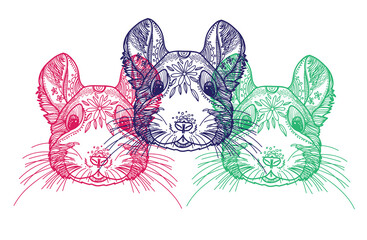 Chinchilla. Doodling coloring, meditative coloring. Patterns, dots, stripes. Cute animals.