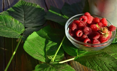 ripe, bright and fragrant raspberries with green leaves in early summer