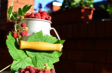 ripe, bright and fragrant raspberries with green leaves in early summer