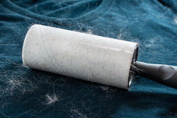 T-shirt covered in cat and dog hair. Lint roller is being used to clean the pet fur from the dirty laundry.