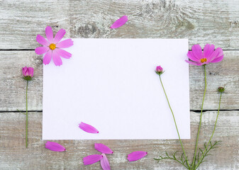 Summer garden flowers with blank paper for greeting message on brown wooden background. Vintage Floral mock up with Pink Cosmos flowers. Copy space
