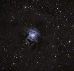 Iris Nebula NGC 7023