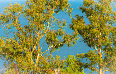 Fototapeta premium Zingaro Nature Reserve, near San Vito Lo Capo in the Sicilian region of Trapani, Italy. 