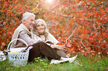 Portrait of senior couple having picnic outdoors