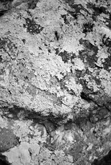 Old stone