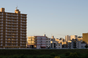 朝日の当たる土手