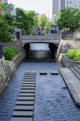 創成川の風景