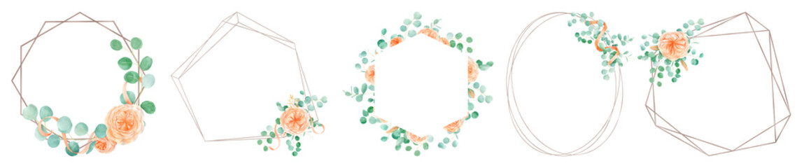 Peach and Orange Watercolor Rose Flower Frame set Background with English Rose Austin and Eucalyptus