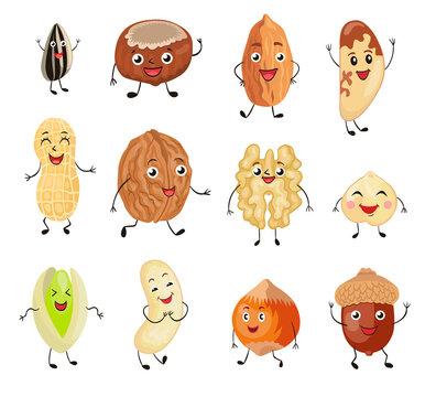 Cartoon nuts set. Cute characters, funny friendly walnut, pistachio, almond, hazelnut, macadamia, sunflower seed. Flat vector illustrations can be used for food, protein, vegetarian diet concept