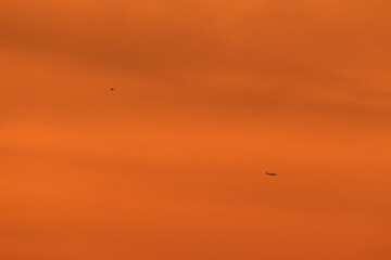 silhouettes of a kite and an airplane, which appear to be on the same plane, flying under an orange sky during dusk 