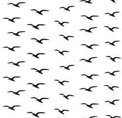 Vector seamless pattern of hand drawn sketch seagull flock silhouette isolated on white background