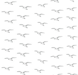 Vector seamless pattern of hand drawn doodle sketch seagull flock isolated on white background