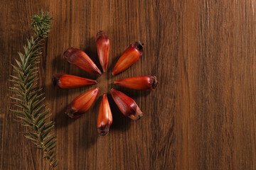 Typical araucaria seeds used as a condiment in Brazilian cuisine in winter. Top view Brazilian pinion on wooden background