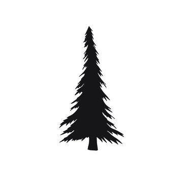 Vector hand drawn sketch spruce tree silhouette isolated on white background
