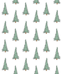 Vector seamless pattern of colored hand drawn doodle sketch spruce tree isolated on white background
