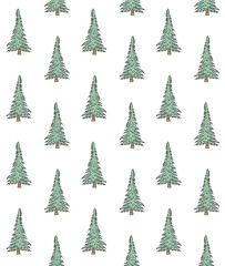 Vector seamless pattern of colored hand drawn doodle sketch spruce tree isolated on white background