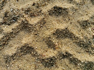 Tire marks on the sand.