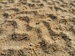 Tire marks on the sand.