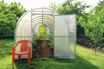 Polycarbonate greenhouse with open door in a well-kept garden. In the evening sunlight, you feel...