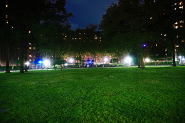 Night at a park in the city of New York
