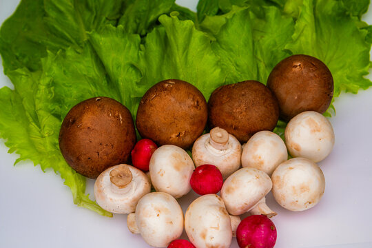 Green Heart: salad, mushrooms and radish macro