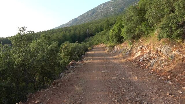 Ovacik, Fethiye, Turkey - 11th of Jane 2020: 4K Earth road through the Lycian forest
