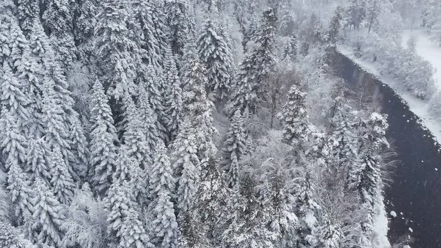 Winter snow-covered landscape of mountain forest and river during snowfall. Aerial view of the devon forest