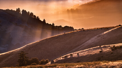 Sunset landscape with sun rays illuminating hills and valleys in Santa Cruz mountains; San...