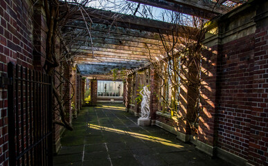 The alleyway in Wintergardens in Auckland Domain with autumn mood