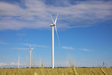 Beautiful view of field with wind turbines. Alternative energy source