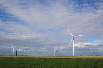 Beautiful view of field with wind turbines. Alternative energy source