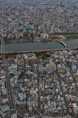 Tokyo city spreads out  to the horizon at dusk, the vast metropolis as viewed from the Skytower