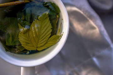 white ceramic mug with green tea and raspberry and currant leaves in it