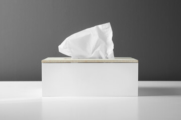 Holder with paper tissues on white table
