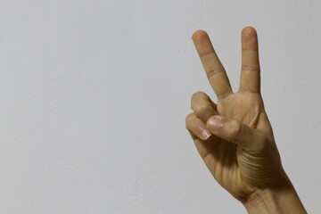 Human hands making gestural signs