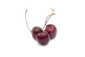 Cherries on a white background