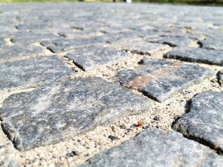 tire tracks in the sand