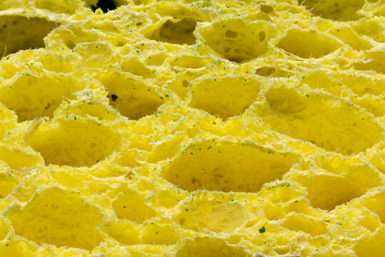 Dish Foam Scrubber Sponge Macro
