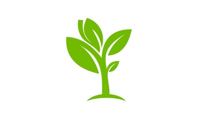Fototapeta na wymiar leaf simple vector logo