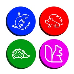 squirrel simple icons set